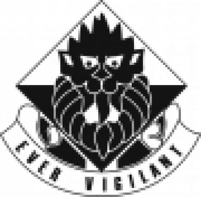 18th Military Police Lion Head Logo.